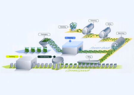 點(diǎn)擊查看詳細(xì)信息<br>標(biāo)題：水果和蔬菜加工潤(rùn)滑油 閱讀次數(shù)：5577