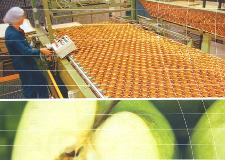 點(diǎn)擊查看詳細(xì)信息<br>標(biāo)題：NEVASTANE潤(rùn)滑油 閱讀次數(shù)：5573